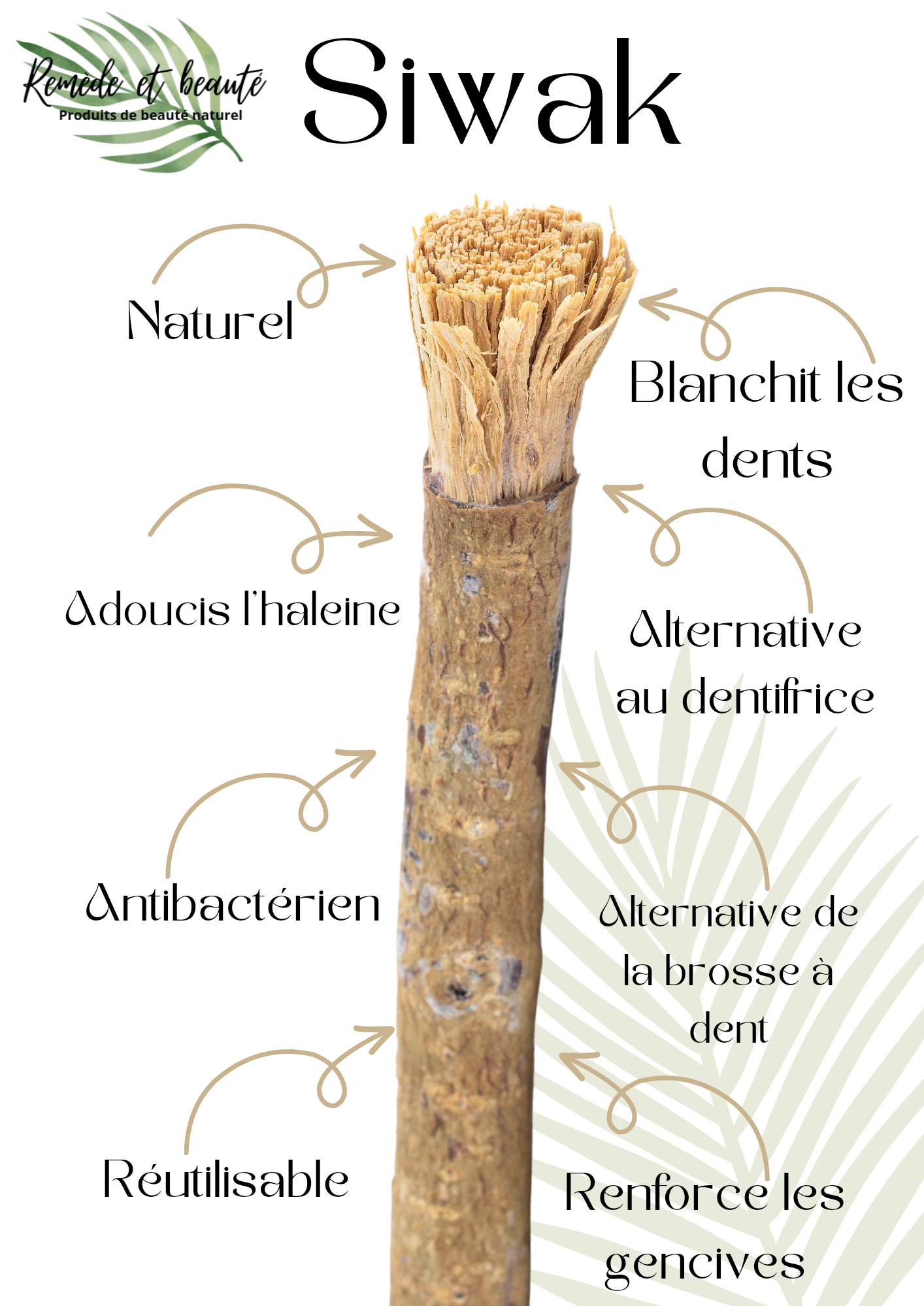 Siwak NATURE. Luxcreaflo